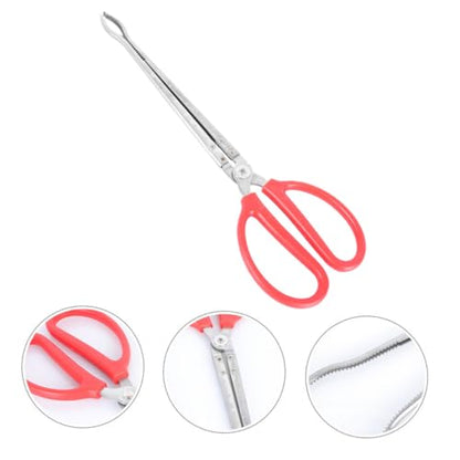 BESTonZON Snake Catching Tool Snake Tong Feeder Reptile Feeding Tongs Reptile Supply Clip for Lizards