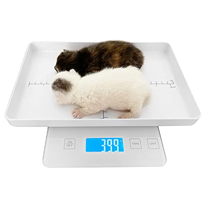 Digital Pet Scale for Small Animal, Whelping Scale,Mini Precision Gram Weight Balance Scale, High Precision 1g, Suitable for Newborn Pets - color: White 1g
