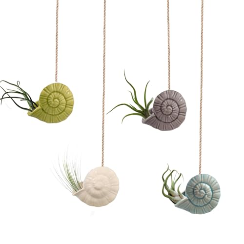 Air Plant Holder Unique, Cute Octopus Air Plant Hanger Wall Planter, Ceramic Tillandsia Airplants Holders Hanging Wall Decor for Home Office (Whelk-Small (2.8 x 2 in),4 pcs/Set) - size: Whelk-Small (2.8 x 2 in)