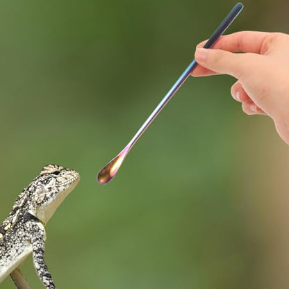 NOLITOY Pet Feeding Spoon Set Small Reptile Food Scoop Lizard Food Spoon Stainless Steel Easy to Lightweight for Tortoise Lizard Pack of 3 - color: As Shown 1
