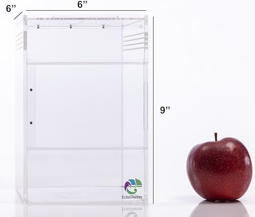EctoTherm Arboreal Jumping Spider Enclosure and Arboreal Tarantula Enclosure - size: Medium