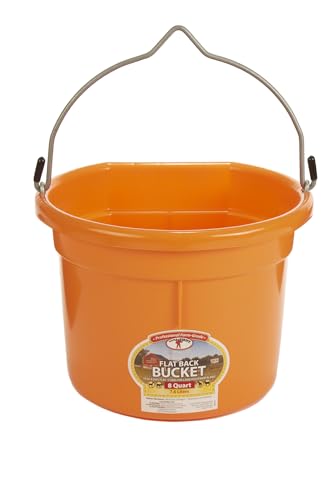 Little Giant® Flat Back Plastic Animal Feed Bucket | Animal Water and Feed Bucket with Metal Handle | 8 Quarts | Orange - color: Orange