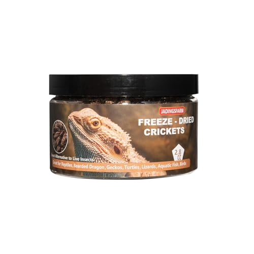Freeze Dried Crickets – 2.8 Oz High Protein Freeze Dried Crickets, Food for Reptiles, Bearded Dragons, Lizards, Geckos, Birds, Fish,Hedgehogs, Bearded Dragon Food
