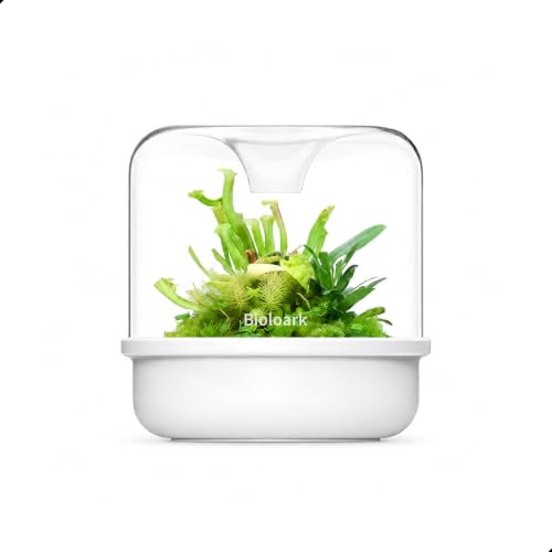 Bioloark MY-150K Glass Plant Terrarium with Ceramic Base, 6.4” x 6.7” White, Moss Terrarium Container with Clear Glass Cover, Ventilation Holes, Moisture Cycle Lid for Ferns, Succulents & Small Plants - color: MY-150K (6.4 "X6.7")White