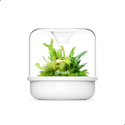 Bioloark MY-150K Glass Plant Terrarium with Ceramic Base, 6.4” x 6.7” White, Moss Terrarium Container with Clear Glass Cover, Ventilation Holes, Moisture Cycle Lid for Ferns, Succulents & Small Plants - color: MY-150K (6.4 "X6.7")White