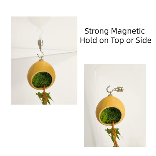 Magnetic Jumping Spider Hide, 2 Pack Spider Hideout with Strong Magnets Hide with Hook & Climbing Rope, Natural Looking Spider Hide Jumping Spider Accessories for Tarantula Enclosure
