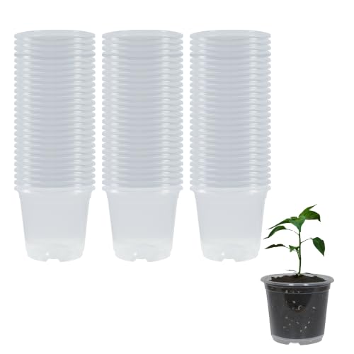80 Pack 4 Inch Clear Nursery Pots with Drainage Plant Pots for Plants Transparent Potting Containers for Plants Seeding Starter Pot(Clear, 4 Inch 80 Pcs) - size: 4 Inch 80 Pcs