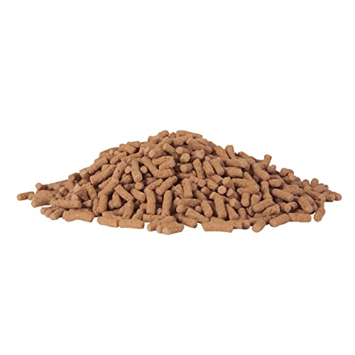 Tetra Pond Sticks Fish Food For Goldfish & Koi, 3.70 lbs | Healthy Daily Diet For All Pond Fish, Easy To Digest Floating Sticks Promote Clearer Water, Feed When Water Is +50 Degrees - size: 3.7 Pound (Pack of 1)