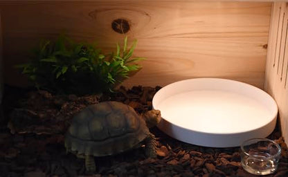 OMEM Reptile Food Bowl Water Dish,Feeding Dish, Birds Bowl (L, White) - color: White, size: L