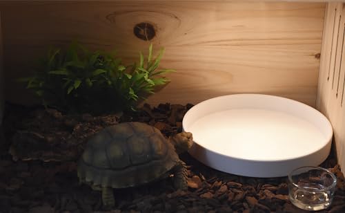 Reptile Food Bowl OMEM Water Dish,Feeding Dish, Birds Bowl (S, White) - color: White, size: S