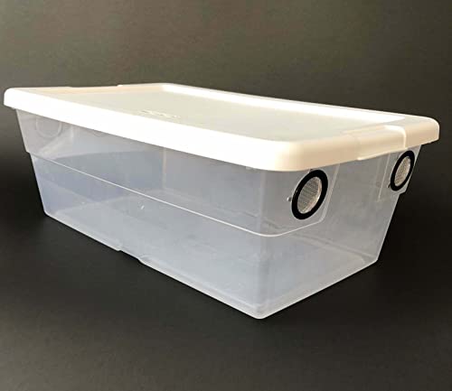 Vented Vivarium Enclosure 6 Quart Terrarium Container for Reptiles, Isopods & Inveretebrates - color: White Lid