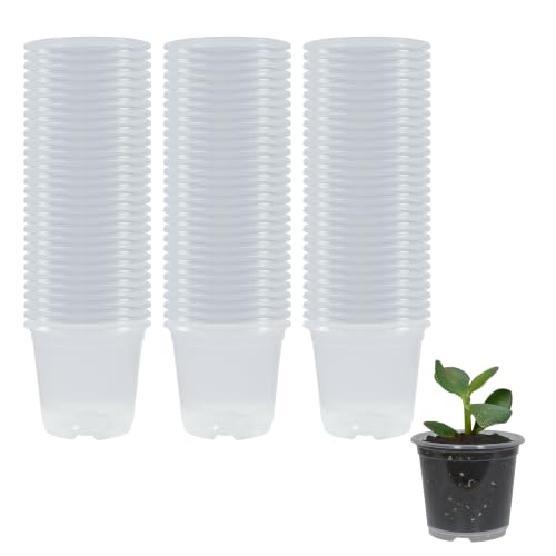 90 Pack 3 Inch Clear Nursery Pots with Drainage Plant Pots for Plants Transparent Potting Containers for Plants Seeding Starter Pot(Clear, 3 Inch 90 Pcs) - size: 3 Inch 90 Pcs