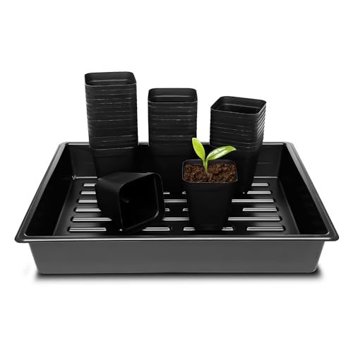 RooTrimmer 3.15 inch (8CM) Square Nursery Pots 100 pcs, Sturdy Seedlings Trays 5 Pcs, Seeds Starter Germination Tray, Microgreening Planter Nursery Propagation 5 Sets - size: 3.15" Pots-100P + 16.2" x 13.2" x 2.6" Trays-5P