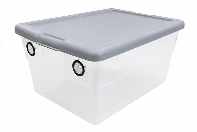 Vented Vivarium Enclosure 6 Quart Terrarium Container for Reptiles, Isopods & Inveretebrates (Grey Lid) - color: Grey Lid