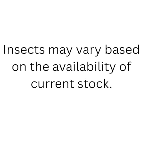 Canned Insect Assortment 6 Pack - Healthy High Protein Treat - For Hedgehogs, Sugar Gliders, Reptiles, Chickens, Lizards, Bearded Dragons, Turtles, Fish, Birds, Opossums, Skunks and other Insectivores