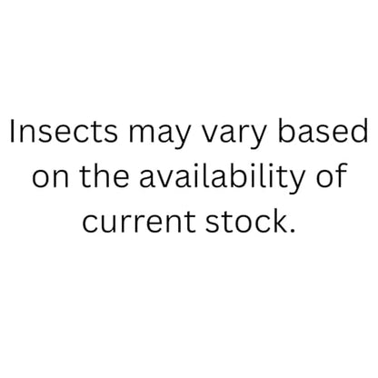 Canned Insect Assortment 6 Pack - Healthy High Protein Treat - For Hedgehogs, Sugar Gliders, Reptiles, Chickens, Lizards, Bearded Dragons, Turtles, Fish, Birds, Opossums, Skunks and other Insectivores