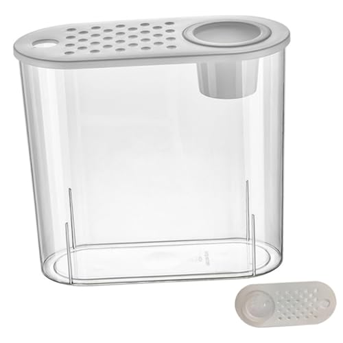 Transparent Small Plastic Fish Tank for and Small Reptiles and Shatterproof Desktop Aquarium Design for Decor