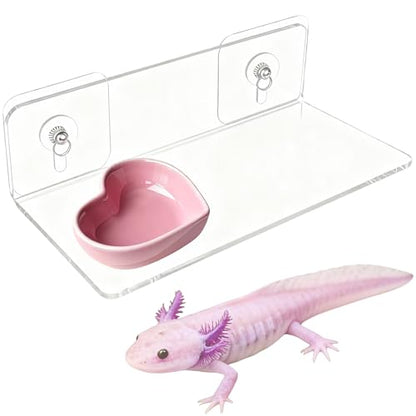 Axolotl Feeding Shelf with Feeder Bowl, Axolotl Hammock for Aquarium with Feeding Tray, Axolotl Tank Accessories for Bearded Dragons, Geckos, Lizards, Hamsters, Crabs - color: Feeding Shelf with Pink Feeder Bowl