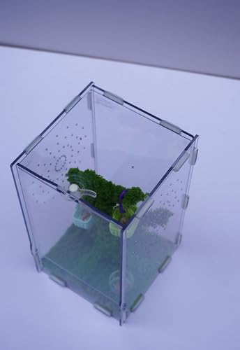 Jumping Spider Enclosure Kit with Acrylic Habitat, Feeding Tongs & Decor – 8.66"x5.12"x4.72" Ventilation Terrarium for Pet Spiders, Reptiles & Small Arboreal Pets