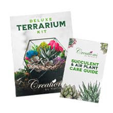 Creations by Nathalie DIY Terrarium Kit with Moss, Soil, Tools & Decor | DIY terrarium starter kit with moss, soil, pebbles, tools, crystals, and figurines for creating indoor plant displays.