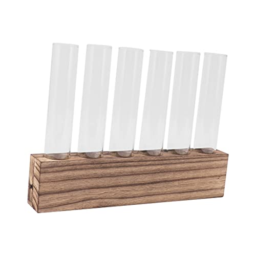 Pssopp Plant Propagation Station Glass Test Tube Plant Terrarium with Wooden Stand for Home Decor Office Living Room Garden (6 Tubes) - size: 6 Tubes