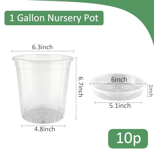 BTPLASTIK 1 Gallon Clear Nursery Pots with Saucers 10P, 6.5 Inch Round Plastic Plant Pots with Drainage Holes - size: 1 Gallon + Saucers 10P