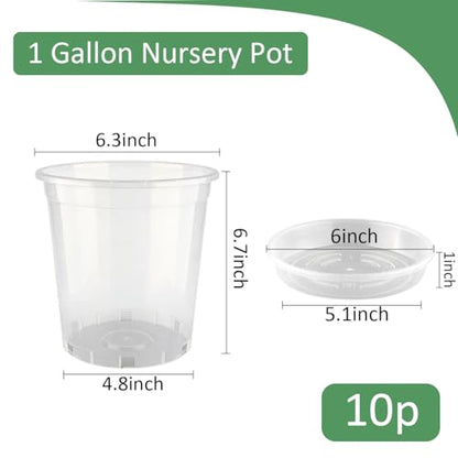BTPLASTIK 1 Gallon Clear Nursery Pots with Saucers 10P, 6.5 Inch Round Plastic Plant Pots with Drainage Holes - size: 1 Gallon + Saucers 10P
