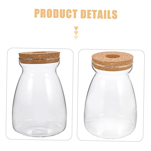 Glass Propagation Jar for Micro Landscape Display and Stable Holding | Viewing, Wood and Glass Build, Living Room Study Placement, Aquarium Gravel or Embellishment Use