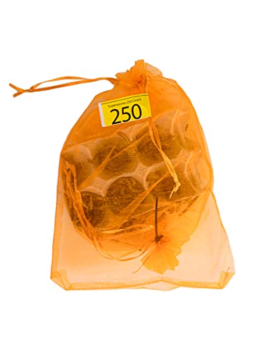 Josh's Frogs Superworms (250 Count) - size: 1 Count (Pack of 250)