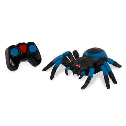 Terra by Battat Remote Control Spider, LED Eyes, 360 Spin, Blue, Animals | RC tarantula toy with moving legs, LED eyes, blue stripes, and 1 remote control for creature-inspired play, Animals, 6+ Years - style: Spider (Blue)