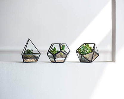 Mkono 3 Pack Geometric Glass Terrarium, 4" Black Air Plant Holder Tabletop | Modern Centerpiece Decor, 3 Shapes Metal Frame, Fits Succulent Moss Fairy Garden Shelf Coffee Table, Plants Not Included - color: Black