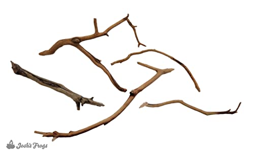 Josh's Frogs Manzanita Wood (Twig) - size: Twig