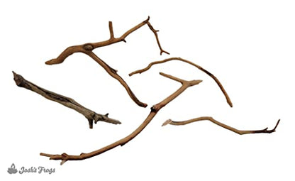 Josh's Frogs Manzanita Wood (Twig) - size: Twig