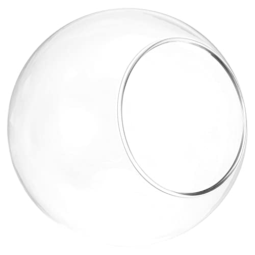 PATIKIL Round Globe Terrarium Air Plant Planter, 4 Inch High Borosilicate Glass Table Decorations for Succulent, Tillandsia, Clear - size: 4 Inch