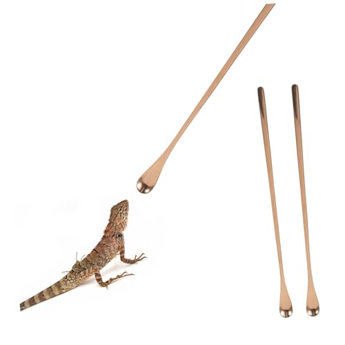 BESPORTBLE 2pcs Stainless Steel Lizard Feeding Spoon Set Long Handle Food Scoop for Small Pets Reptile Feeding Tool for Lizards and Other Small Animals - color: Rose Gold