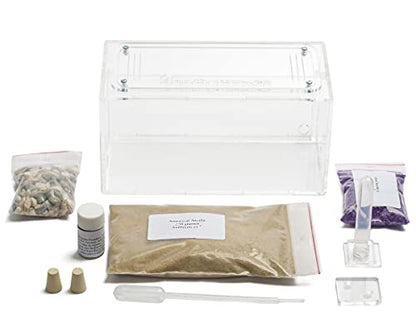 Anthouse.ES - Natural Sand Ant Farm - Acrylic Starter Kit 20x10x10 cm - Sand, Pipette, and Water Dispenser Included - Easy Installation - color: Clear