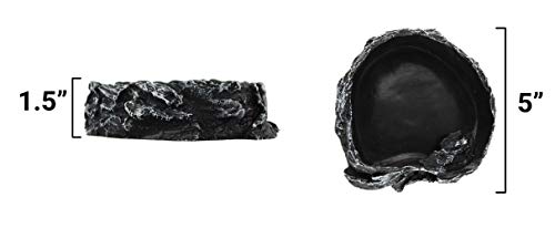 Pangea Medium Rock Food & Water Bowl