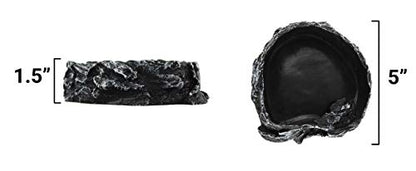Pangea Medium Rock Food & Water Bowl