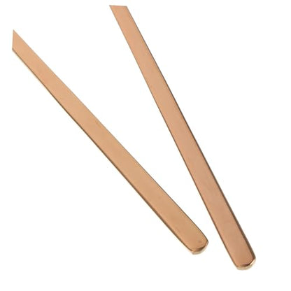 BESPORTBLE 2pcs Stainless Steel Lizard Feeding Spoon Set Long Handle Food Scoop for Small Pets Reptile Feeding Tool for Lizards and Other Small Animals - color: Rose Gold