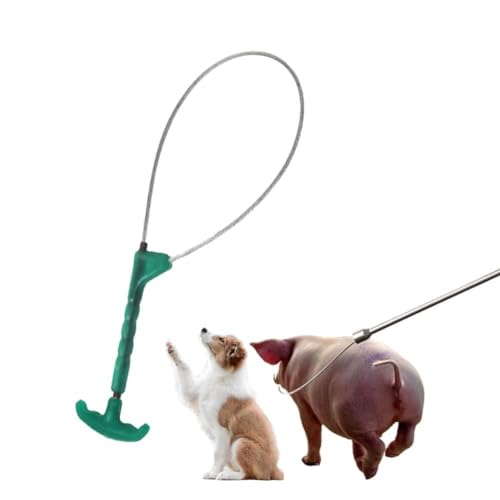 Pig Catcher Pole,Dog Catcher Pole,Animal Control Pole,Stainless Steel Pig Contro Holder,Dog Catch Rod Noose Holder Tool,for Dog Pig Swine Animals Livestock - color: Green Sliver