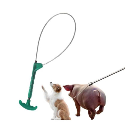 Pig Catcher Pole,Dog Catcher Pole,Animal Control Pole,Stainless Steel Pig Contro Holder,Dog Catch Rod Noose Holder Tool,for Dog Pig Swine Animals Livestock - color: Green Sliver
