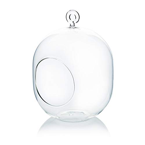 WGV Hanging Glass Plant Terrarium Bulk, Width 5", Height 6", Lantern DIY Air Succulent Planter Clear Tea Light Votive Candle Holder, Wedding Event Office Home Outdoor Decor, 3 Pieces