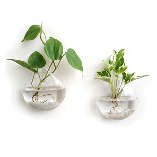 Mkono Wall Propagation Planters, 2 Pack Oblate Hanging Plant Holder Vase | Glass Terrariums Station, Hydroponic Indoor Flowers, Excludes Plants, Bathroom Living Room Office Decor, Gift for Plant Lover