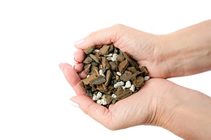 Premium Bonsai Soil All Purpose Fast Draining Mix - Pumice, Lava, Calcined Clay and Pine Bark Potting Pre Mixed Bonsai Plant Soil Mixture by GARDENERA- Made in USA - (2 Quart Bag) - color: BONSAI POTTING MIX, size: 2 Quart