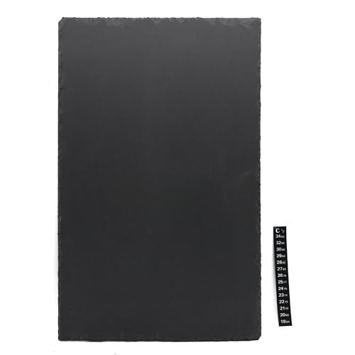 Slate Tiles for Reptiles Food Bowl Dish Feeding Slate 40 x 25cm | Tortoise Habitat Accessories, For Reptiles Tank