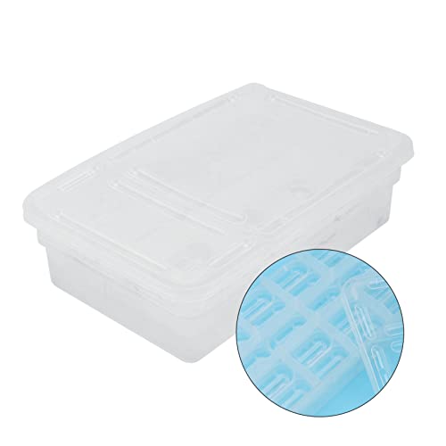Plastic Reptile Hatching Box Easy Clean Incubator for Snakes Lizards Reptiles Visible Design Lightweight for Convenient Storage Hatchery Container