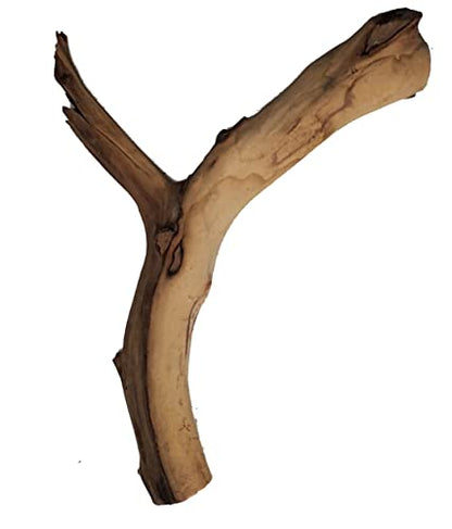 Josh's Frogs Manzanita Wood (Medium) - size: Medium