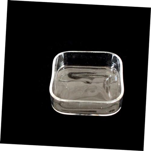 HEMOTON Lizard Feeder Bowl Transparent Glass Pet Feeding Container for Reptiles and Animals for Tortoises Snails and Item Storage Easy to