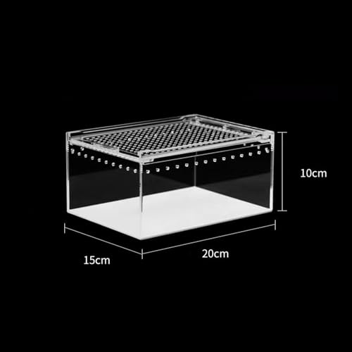 Reptile Breeding Box Enclosure Tank with Sliding lid Animal Habitat cage Hatching case pp Material Transparent Construction Suitable for Reptile Care