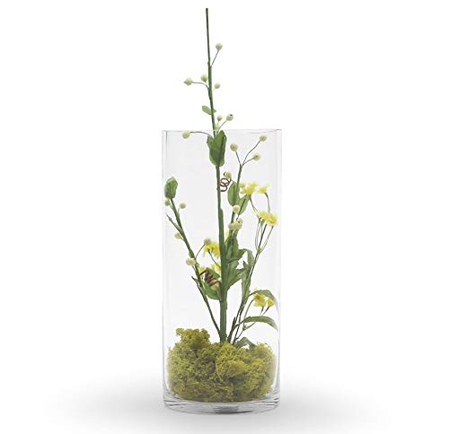 WGV Cylinder Glass Vase, Width 6", Height 12", [Different Heights Available] Clear Container Terrarium for Wedding Centerpiece, Party Event, Home Decor, 1 Piece - size: 6"x12"H